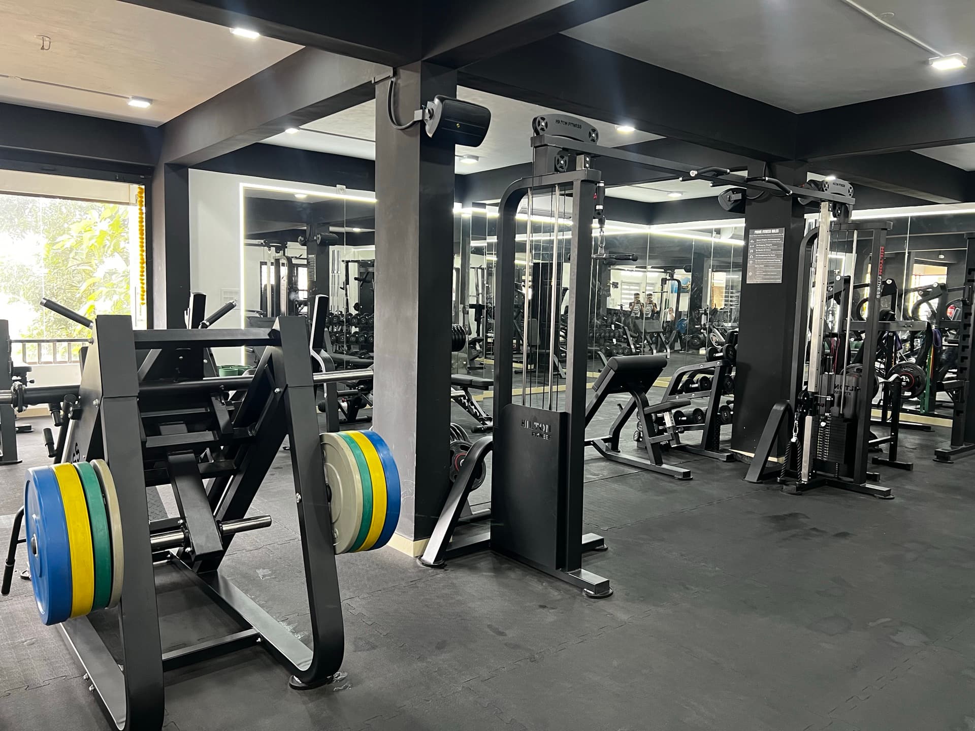 Photo: Strength Zone Overview