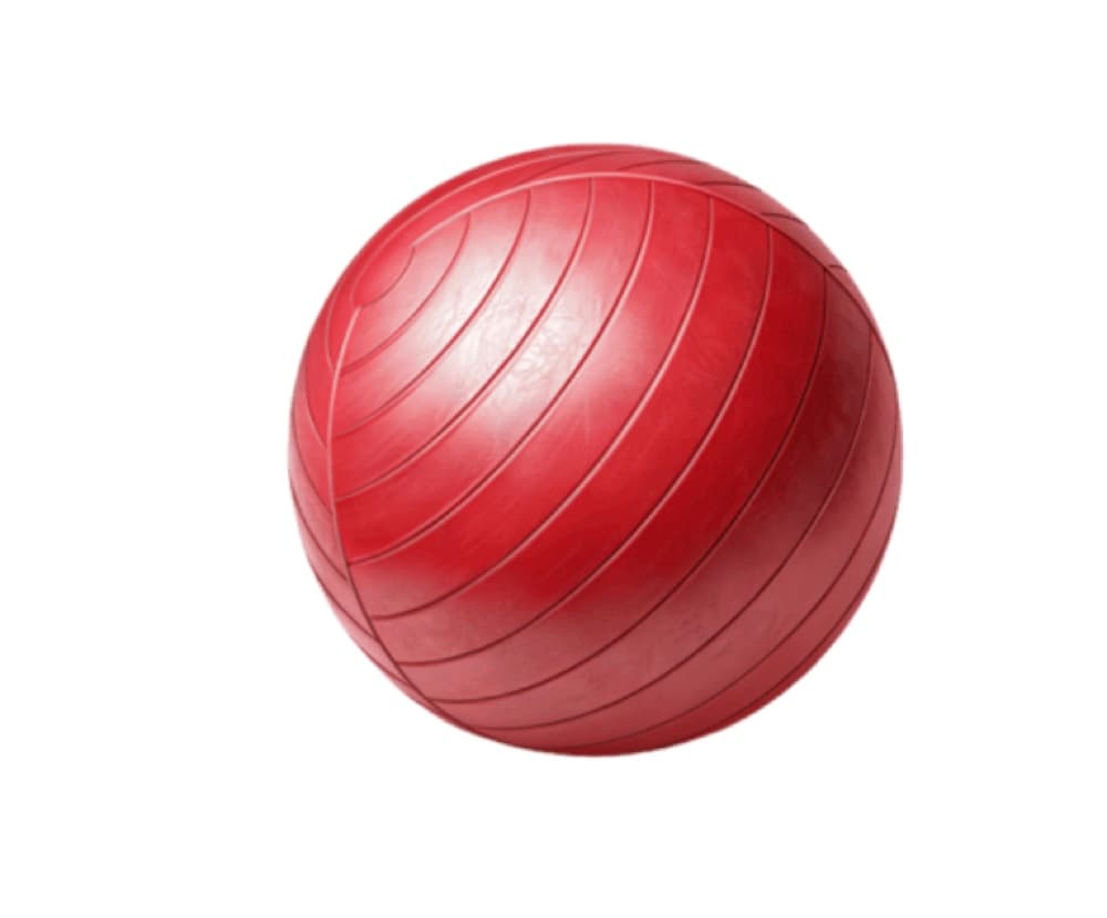 Gym Ball (Swiss Ball)