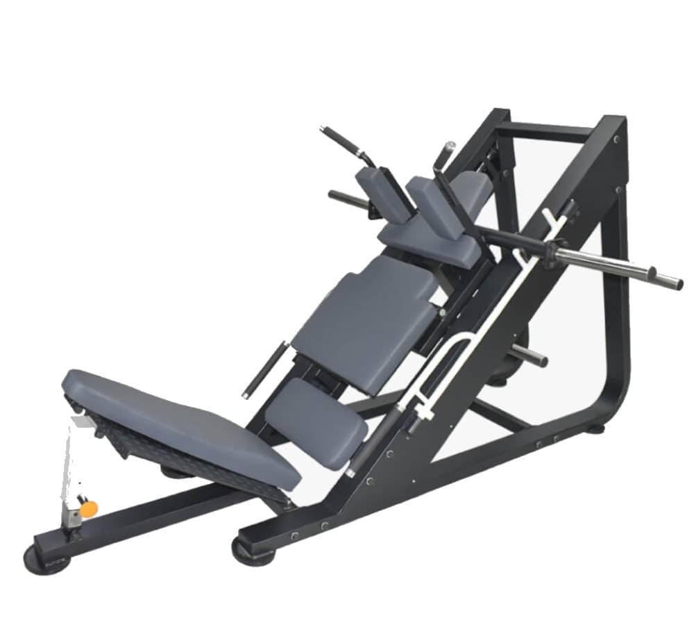 Hack Squat / Leg Press