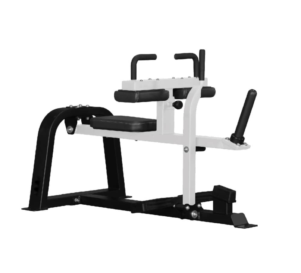 Seated Calf Raise